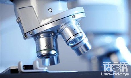 中文檢測報告翻譯成英文